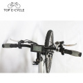 TOP New Design Cheap a2b 26" 250W Electric Mountain bike with 7-Speed Gear CE Certificate made in China